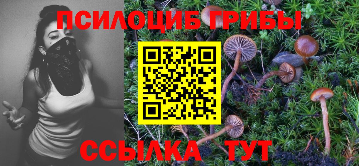 Казань  Псилоцибиновые грибы прущие грибы  Вход с VPN  Галлюциногенные грибы MAGIC MUSHROOMS 